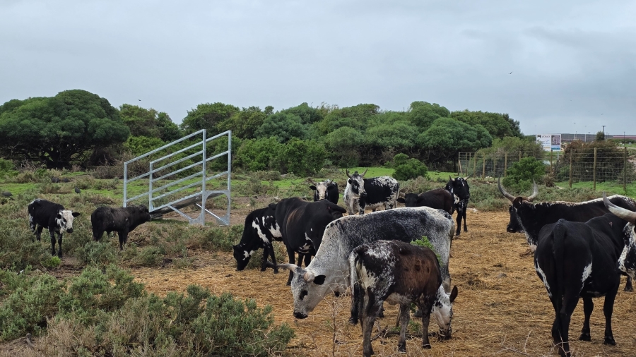 0 Bedroom Property for Sale in Bluewater Bay Western Cape